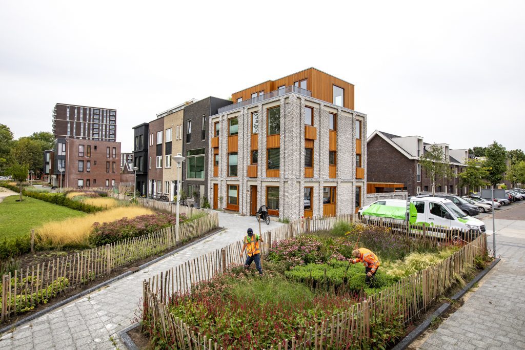 voorman | sport | groen | wouw | Regio West-Brabant | Noord-Brabant | Roosendaal | halderberge | Rucphen | Moerdijk | Bergen op Zoom | Zundert | Steenbergen | groen kennis | ervaring | Drechtsteden