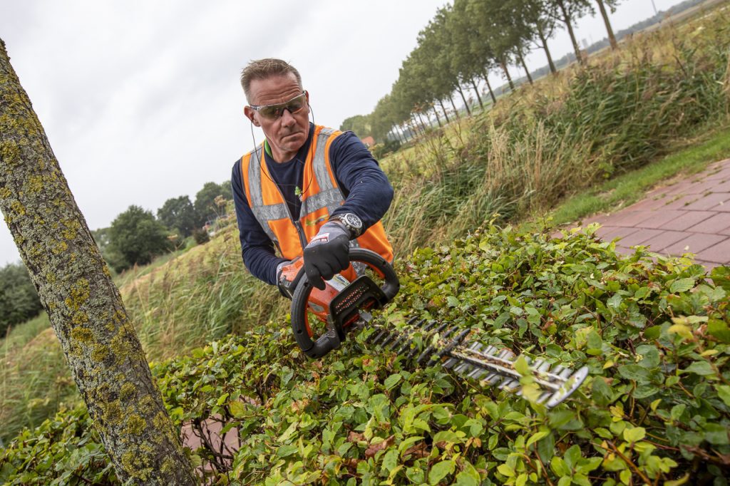 Onderhoud | Groen | Snoeien | Drenthe | Medewerker Groen | Zuidwolde  | Groen | Leeuwarden | Groningen | Friesland