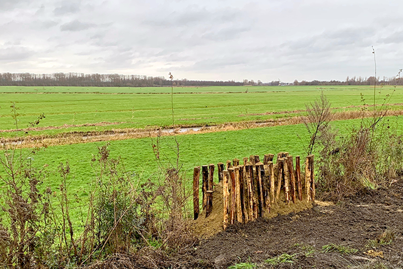 bijenheuvels | ecologie | biodiversiteit | groen | onderhoud | beheer | aanleg | bijen | insecten | Delft | Zoetermeer | Pijnacker-Nootdorp | Staatsbosbeheer