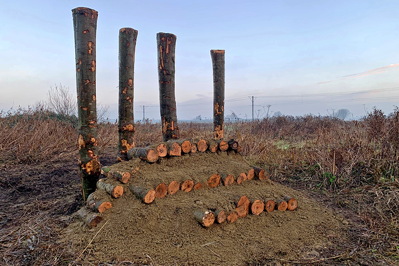 bijenheuvels | ecologie | biodiversiteit | groen | onderhoud | beheer | aanleg | bijen | insecten | Delft | Zoetermeer | Pijnacker-Nootdorp | Staatsbosbeheer