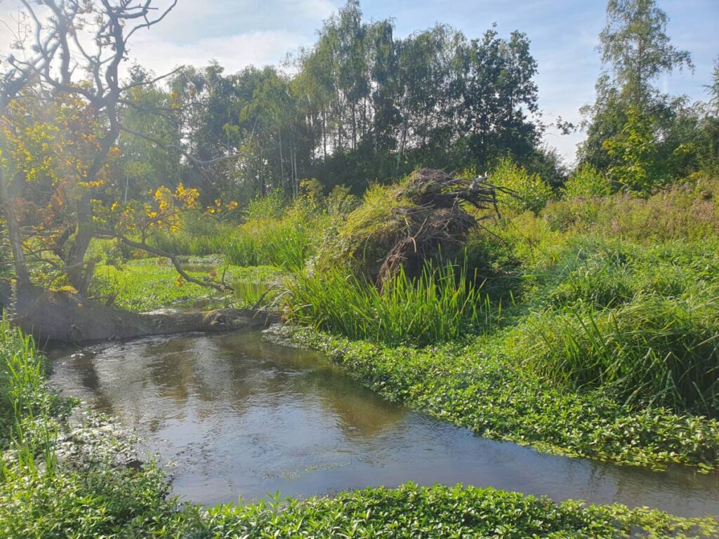 ecologie | limburg | waterschap | duurzaamheid | biodiversiteit